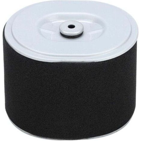 PA Filtre à Air Moteur Gx390 Pièce Nettoyeur Haute Pression Tondeuse à Gazon Remplacement Compatible (1/4)