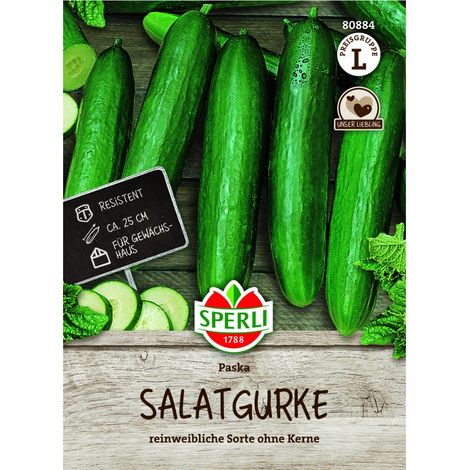 Sperli Salatgurke Paska F1 - 1 Portion