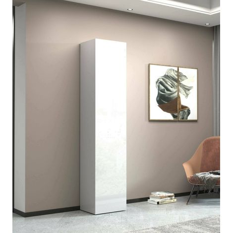 Dmora - Armario Multiusos 1 puerta Zenone, Armario multiusos con 1 puerta, Armario multifuncional, 45x35h190 cm, Blanco, con embalaje reforzado (1/5)