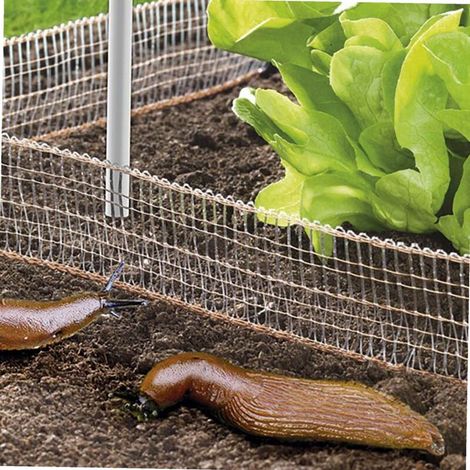 Clôture anti-escargots en cuivre Répulsif écologique 8m avec 8 piquets Barrière dissuasive pour jeunes plants et légumes (1/4)