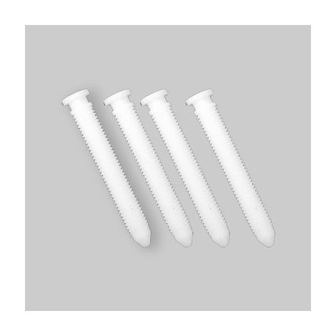 Vis de fixation pour plaque Sara/Eco (1/4)