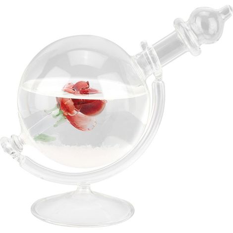 Bouteille en cristal en forme de globe terrestre, symbole de tempête, décoration et cadeau pour la maison. Prévisions météo. Cadeau idéal pour les amateurs de tempêtes de vent. (1/5)