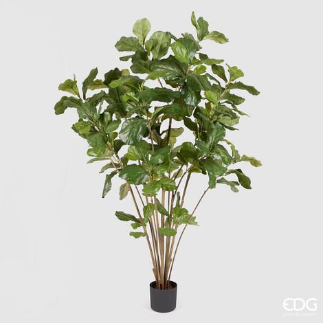 EDG Enzo De Gasperi Ficus Lyrata con Vaso Artificiale H 180 Cm Green (1/5)