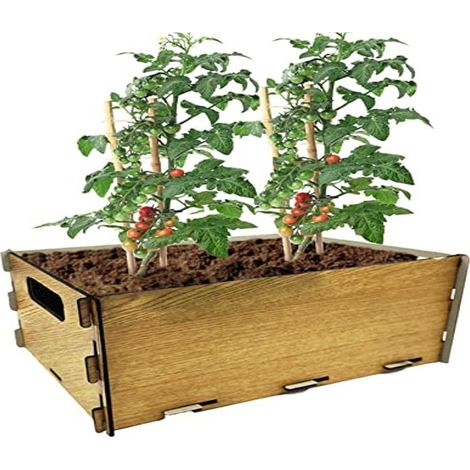 Kit de Plantation pour tomates, kit de Culture pour Potager Urbain, jardinière intérieure pour Maison, kit de Culture de Plantes Naturelles tomates fraîches