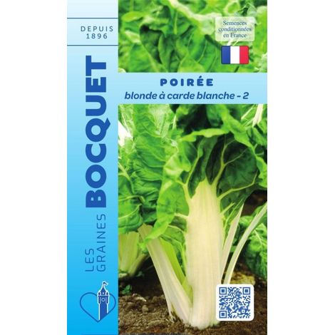 Poirée blonde à carde blanche-2 - 6g