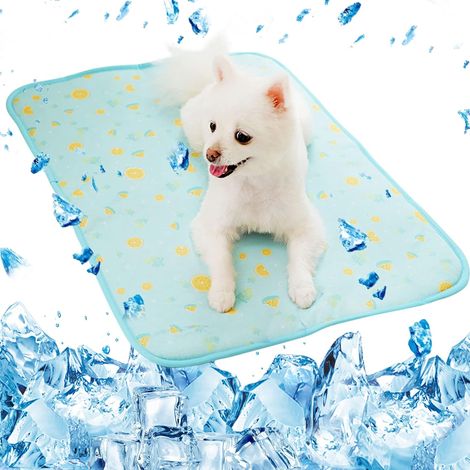 Tapis rafraîchissant pour chiens, couverture auto-rafraîchissante lavable pour garder les animaux de compagnie au frais (43 x 50 cm). (1/3)