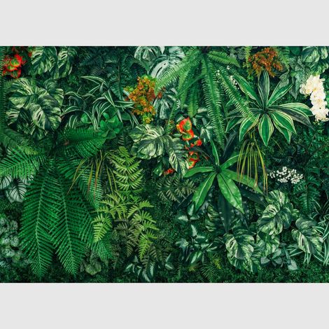 Papier peint intissé - Mur amazonien - 375x270 cm (1/4)