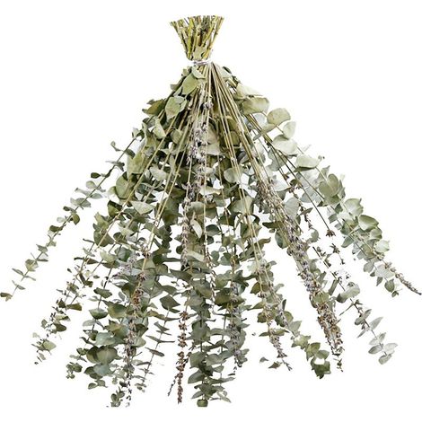 Bouquet de bain parfumé - 【CH-026】 bouquet d'eucalyptus, lavande et chrysocolla 40 tiges pour aromathérapie et décor (1/4)