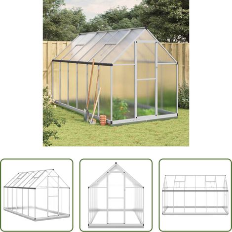 Protection des plantes - Serre avec cadre de base argenté 334x169x202 cm aluminium (1/5)