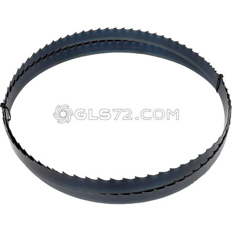 Hoja cinta de sierra 2760X25X0.8 HOLZMANN bbs350b25 para bbs350 (1/4)