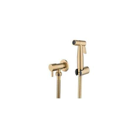 Robinet de bidet Shattaf en acier inoxydable, kit de pulvérisation pour bidet (doré) (1/5)