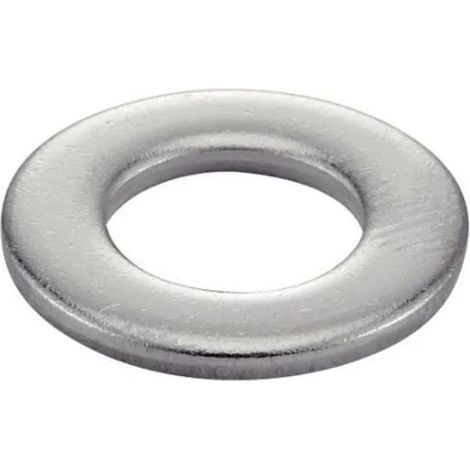 Acton Rondella Piatta Inox 27x50x4 mm Scatola 10