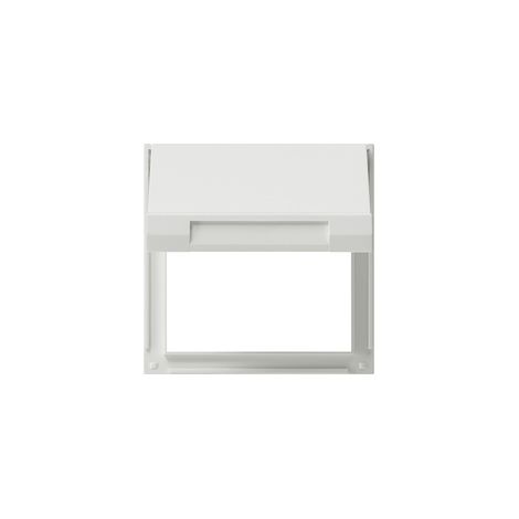 Cornice adattatore Gira 065466 AC tipo F Schuko 10x10 cm