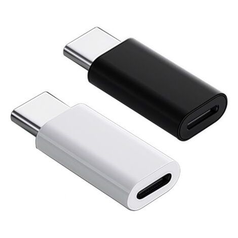 2 Pièces Adaptateur USB Convertisseur Chargeur Compatible Appareils Design Réversible avec Porte Clés Perte (1/2)