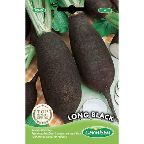 graines Radis noir gros long d'hiver (1/2)