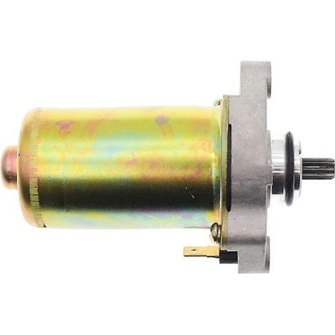 31200-GE1-712 31210-GE1-712 246390030 Démarreur universel pour motos ZIP50, Piaggio 80, Liberty 50 et CH80 (1/5)