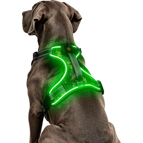 Harnais Lumineux Réfléchissant LED pour Chien - Vert XL (1/5)