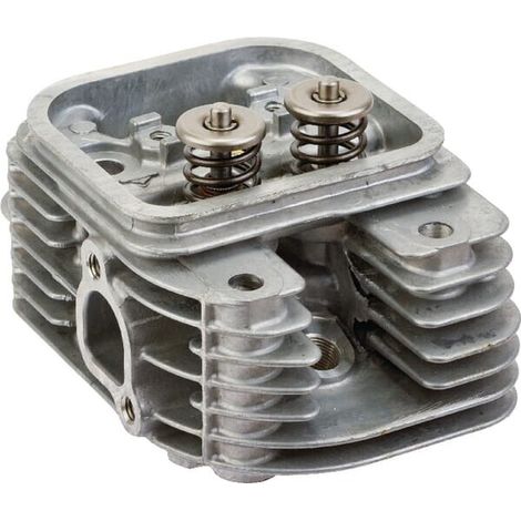 Testa cilindro 809200WM BRIGGS ET STRATTON 809200WM (1/5)
