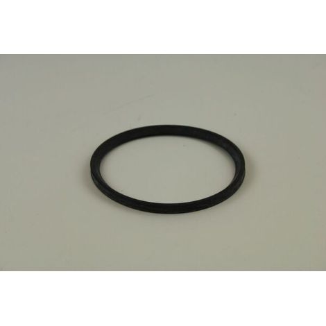 BOSCH Lippendichtung DN 110 für GC7000WP 70, GC7000WP 100
