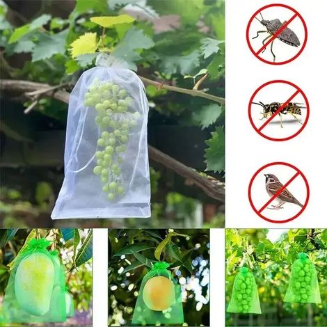 (Violet, 10 x 15 cm (100 pièces)) Sacs de protection pour raisins, sacs de culture en filet, produits de lutte antiparasitaire pour fruits, sacs en gaze respirante pour semis de fraisiers, organza