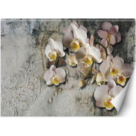 Papier peint Orchidée en fleurs Mur de fleurs 150x105 (1/5)