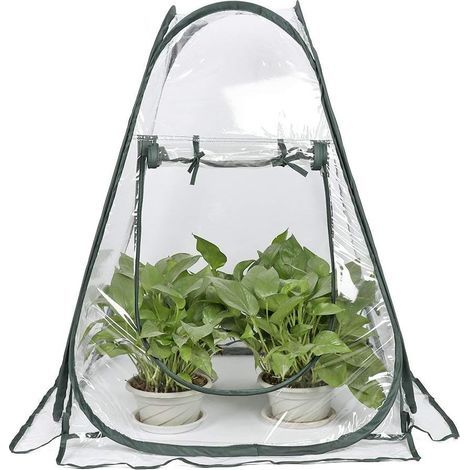 Mini Serre Pop up Grow House, Couverture de Serre intérieure extérieure en PVC, Petit abri de Fleurs de Jardin Portable - 70 x 70 x 80 cm (1/5)