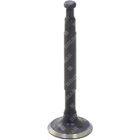 Ablassventil für DUCAR-Motorpumpen - 038569
