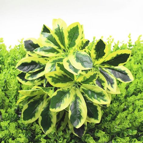 Plante Artificielle - Arbuste en Soie et Plastique - Décoration Intérieure et Extérieure pour Maison Bureau Jardin - Jaune - 4 Pièces (1/4)
