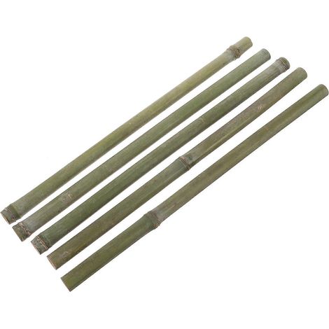 Tuteurs en bambou pour treillis de jardin, lot de 20, pour plantes grimpantes d'intérieur (1/5)