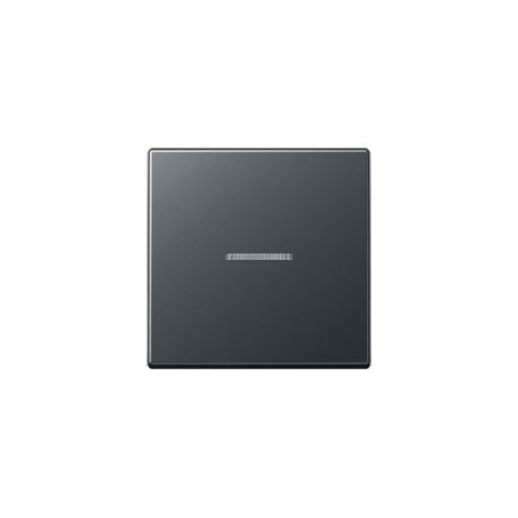 Plaque de finition Jung a 590 bf ko5 anm plastique gris 10x21 cm