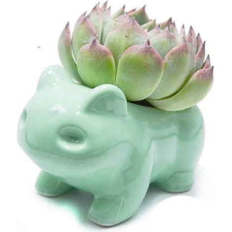 Pots de fleurs à faire soi-même Mengcat, pots en céramique de style dessin animé, vase décoratif en céramique mignon en forme d'animal (1/5)