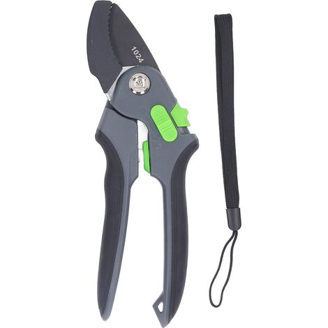 Cisaille de taille à cliquet, pour branches et coupe franche (1/5)