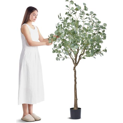 Arbre Eucalyptus Artificiel 1,8 m, Plante Façon Réaliste en PE Sécurisé, Protection Antivol, Décoration Intérieure et Extérieure (1/5)