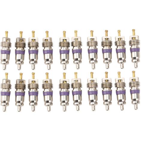 Eosnow 20pcs Car Climating Valve Core Core Automobile Conditionneur de revitateur pour Benz (1/4)