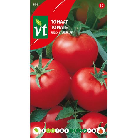 Tomate Paola F1 Hybride - Ca. 0,2 gr (Livraison Gratuite)