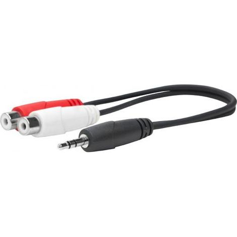 Da 3,5 mm maschio a rca femmina (1/3)