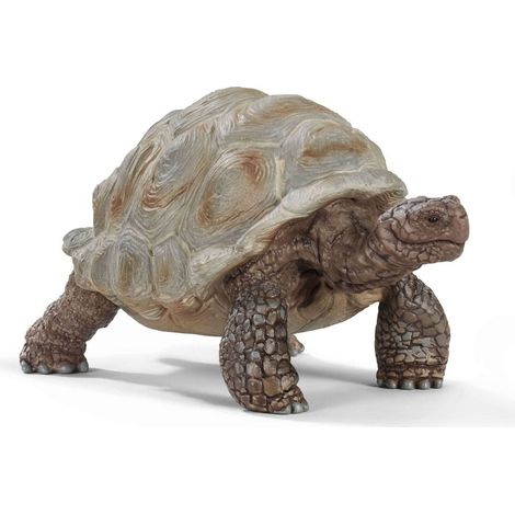 SCHLEICH WILD LIFE Tartaruga Gigante 14824 figura animale dettagliata giocattolo zoo regalo per bambine e bambini decorazione compleanno dai 3 anni 8 x 4 x 4 cm (1/2)