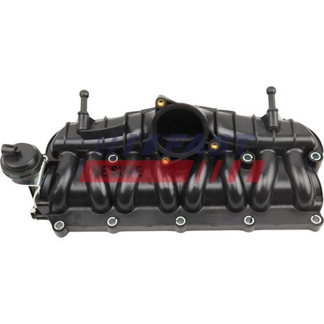 Collettore di aspirazione rapido FT00624