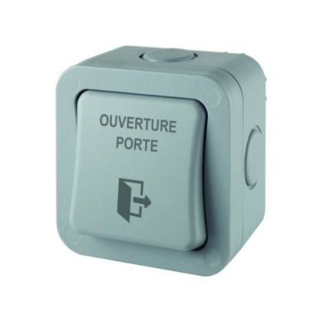 Control de acceso Izyx contact inverseur IP66 montaje superficial