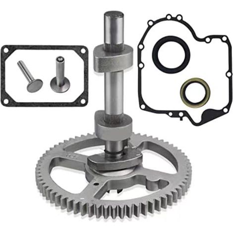793880 Briggs & Stratton 793583 792681 791942 795102 Vevhuskamaxelsats 84005207 Kamaxelbyte (1/5)