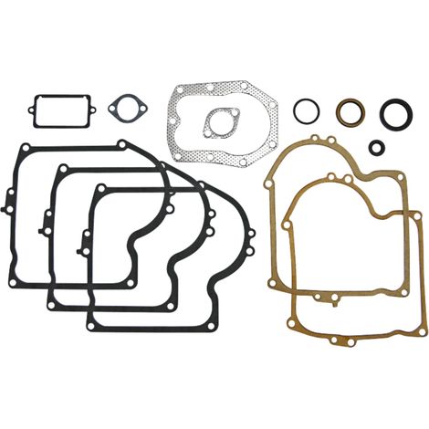Motordichtungssatz für Briggs 30270193
