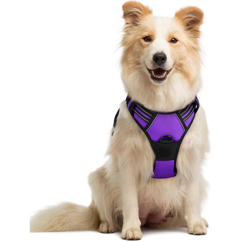 Harnais chien anti-traction Rabbitgoo M violet réglable réfléchissant attache avant (1/5)