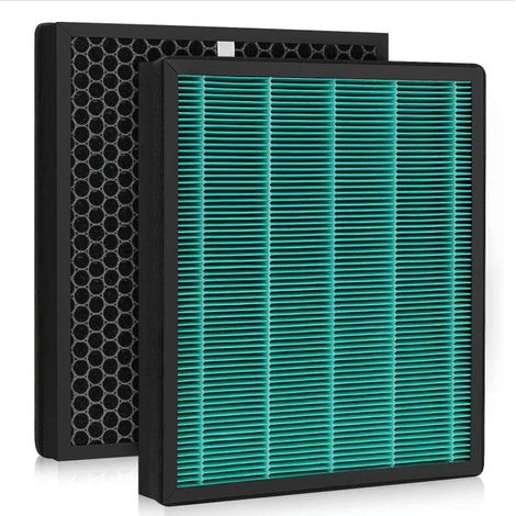 Filtre à charbon actif compatible avec le purificateur d'air Coway Airmega 300 (1/5)