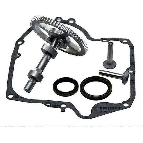 Arbre à cames Briggs & Stratton 793880 793583 792681 791942 795102, kit de remplacement d'arbre à cames avec joint d'huile 795387 et joints de carter Ruikalucky 697110 LKBD (1/4)