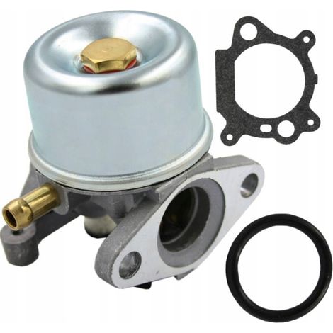 Carburateur Briggs & Stratton Quantum 625 650 675 799866 799868 790845 799871 (1/5)