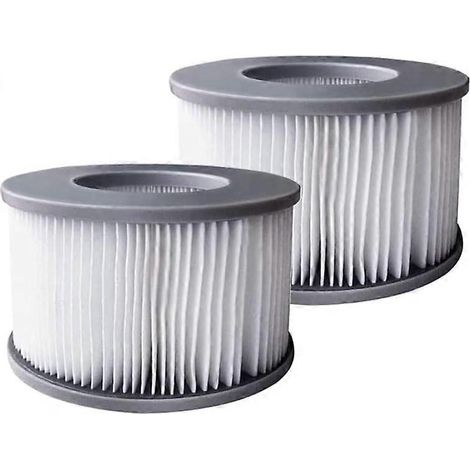 Lot de 2 cartouches filtrantes de rechange MS-PA, compatibles avec tous les spas, piscines gonflables et jacuzzis MS-PA, modèle FD2089 (1/5)