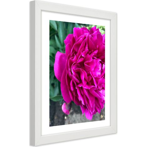 Quadro con cornice, Fiore grande rosa - 20x30 (1/5)
