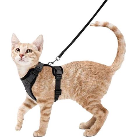 Conjunto de arnés y correa para gatos - Ajustable y a prueba de escapes - Reflectante y suave - Para gatos pequeños - Negro (XS) (1/5)