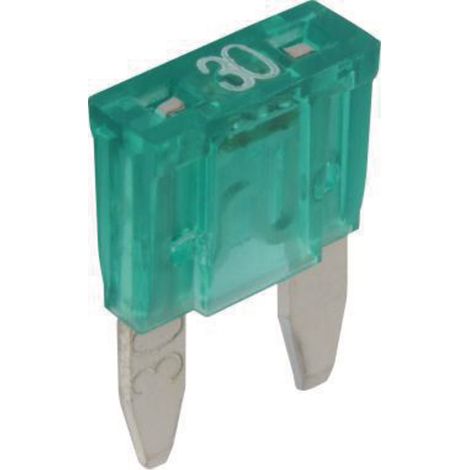 Mini-Flachstecksicherungen 32V 30A 10 Stück.
