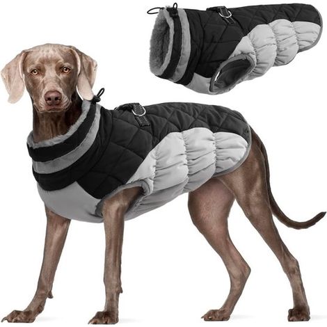 Ropa para perros - Adecuada para perros de tamaño mediano - Chaleco de invierno - Impermeable - Negro - Talla L (1/5)